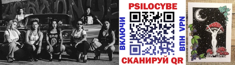 где можно купить   Юрюзань  Галлюциногенные грибы Psilocybe 